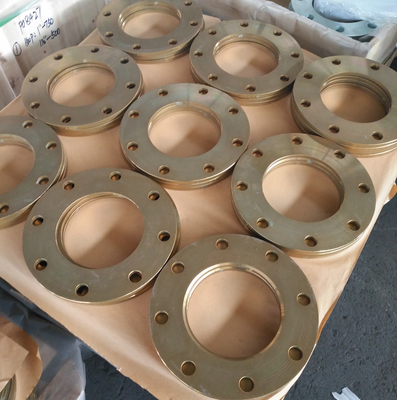 Pn16 平らな面の炭素鋼はフランジおよび管の付属品の反錆油を作りました