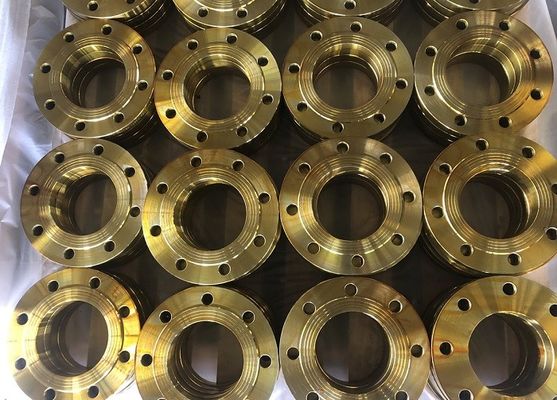 EN1092-1 DINの鍛造材鋼管のフランジBS4504 PN16の溶接の首A105 C22.8のフランジ