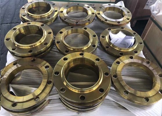 EN1092-1 DINの鍛造材鋼管のフランジBS4504 PN16の溶接の首A105 C22.8のフランジ