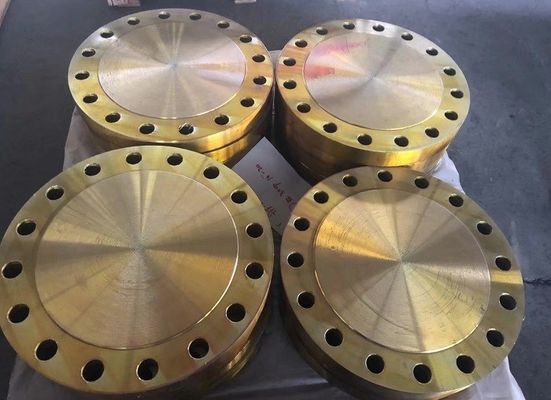 EN1092-1 DINの鍛造材鋼管のフランジBS4504 PN16の溶接の首A105 C22.8のフランジ
